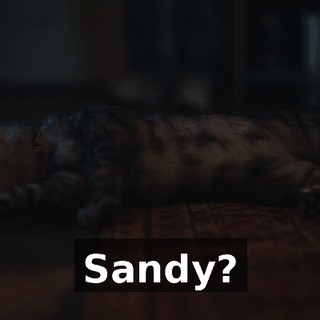 cc20d286-c595-4aaa-a08b-061aa5e88abe.gif