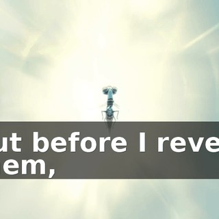 But before I reveal them,