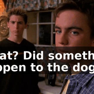 What? Did something happen to the dog?