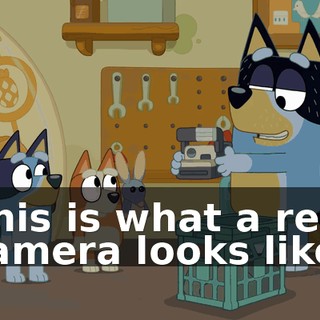 This is what a real camera looks like.
