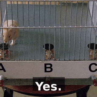 Yes.