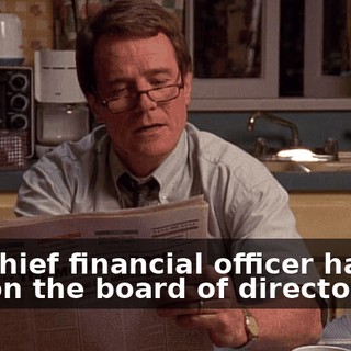 Our chief financial officer had his dog on the board of directors.