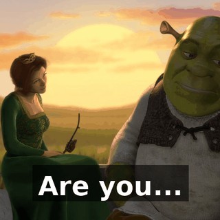 Are you...