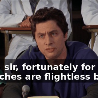 cd8e2a6e-3163-408f-90dc-19b1957085a6.gif