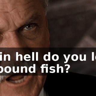 cda1e6a6-0641-4fcf-ba8d-823f745503a5.gif