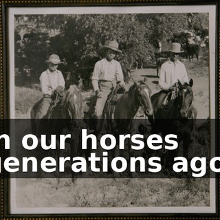 in our horses generations ago.