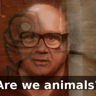 cdc46446-aa3a-42b1-9db7-49aff07b388d.gif