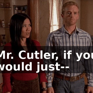 Mr. Cutler, if you would just--