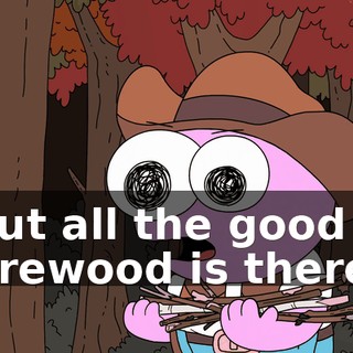 but all the good firewood is there.