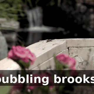 bubbling brooks,