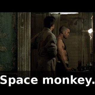 Space monkey.