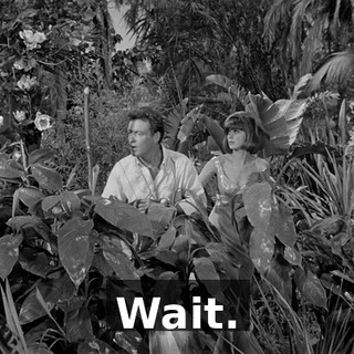 ce4405c6-4d17-46f0-bf0b-dd6345d42f1a.gif