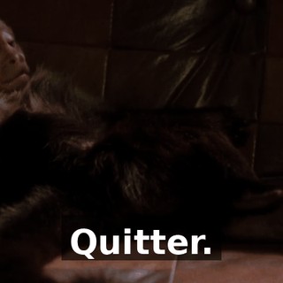 cea828ce-bd81-4d1d-86dc-6a6fcc118206.gif