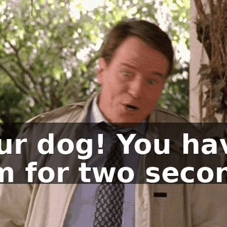 Your dog! You have him for two seconds