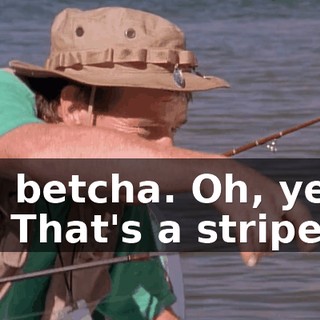 You betcha. Oh, yeah. Oh. That's a striper.