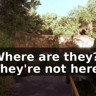 Where are they? They're not here.