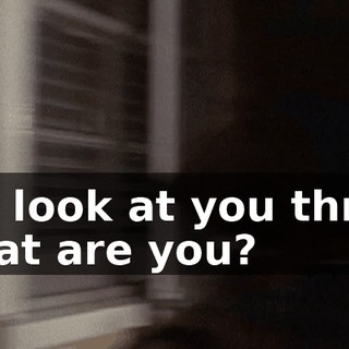 Oh, look at you three. What are you?