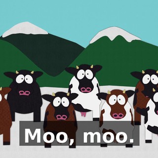 Moo, moo.