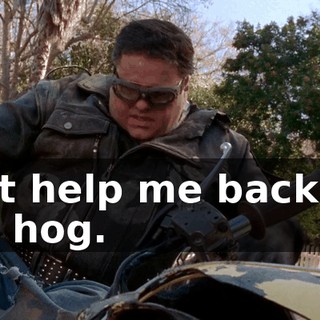 Just help me back on my hog.