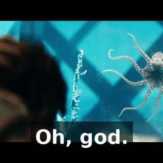 cf77e0ea-7e78-47f4-81e2-e97854c098e4.gif