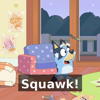 Squawk!