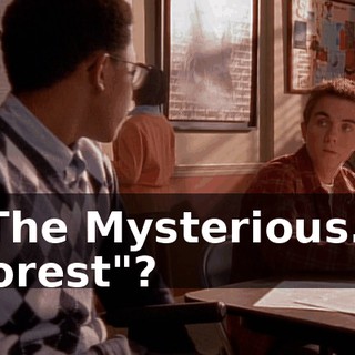 "The Mysterious... Forest"?
