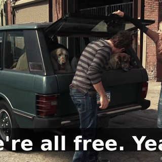 We're all free. Yeah.