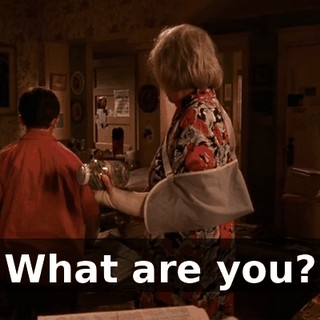 What are you?