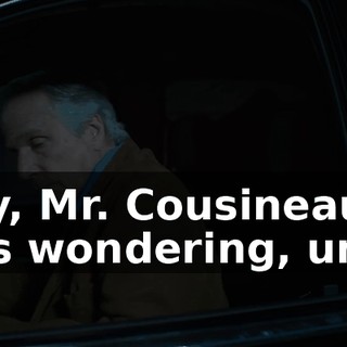 Hey, Mr. Cousineau, I was wondering, um...