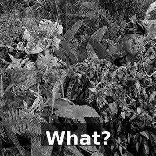 d062f22e-0168-424a-866d-99c017e04afd.gif
