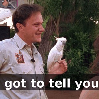 I got to tell you,