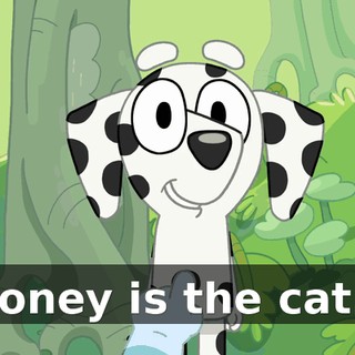 Honey is the cat…