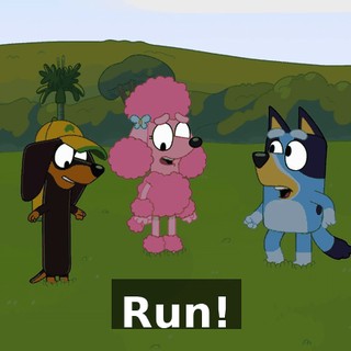Run!
