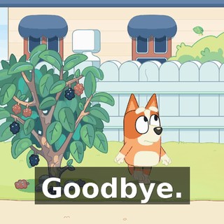 Goodbye.