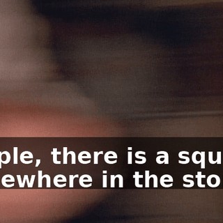 People, there is a squirrel somewhere in the store.