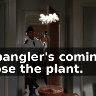Spangler's coming. Lose the plant.
