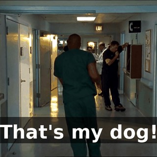 d191304d-cd75-485a-8eb9-bb155b53a5c8.gif