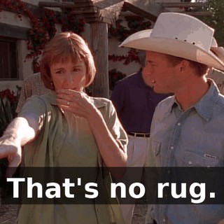 That's no rug.