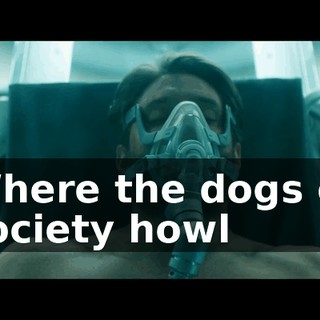 d1a6d930-199a-4251-ae34-1100c103236c.gif