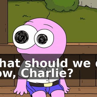 What should we do now, Charlie?