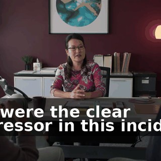 You were the clear aggressor in this incident,