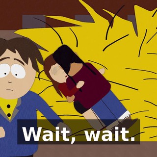 Wait, wait.