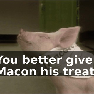 d2177c2d-4451-427e-bdc9-4c13fd24bc12.gif