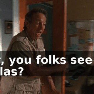 Hey, you folks see the koalas?