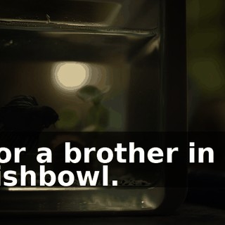 d265354d-7042-4d7d-a77d-2a732332d23c.gif