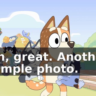 d27b0b30-1f84-41ac-87de-20eb301720c6.gif