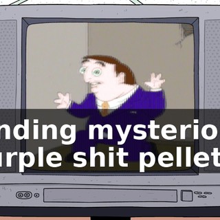 Finding mysterious purple shit pellets?