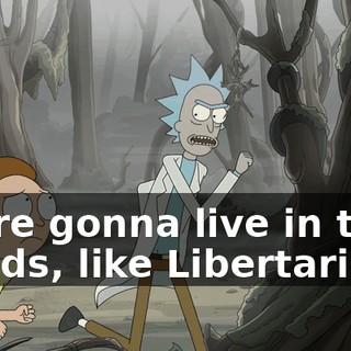 d2894a86-378c-4c53-8d4d-df773c2ccb14.gif