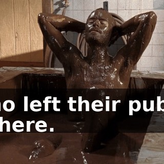 who left their pubes in here.