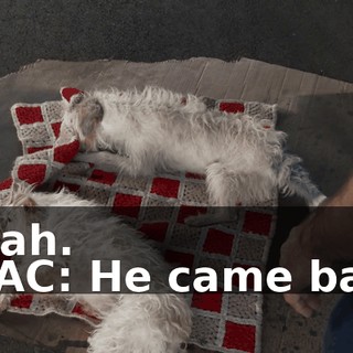 d2ad328a-7863-4f9c-b823-67dad01eb4e7.gif